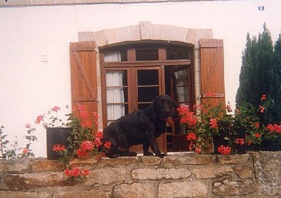 Case famigliale per vacanze bretagna-francia-appartamenti-residence vista sul fiume